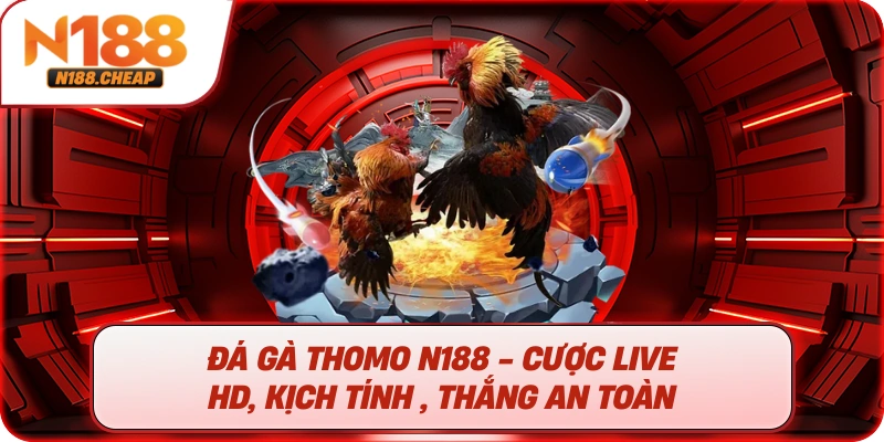 Đá gà thomo N188 - Cược live HD, Kịch tính , thắng an toàn