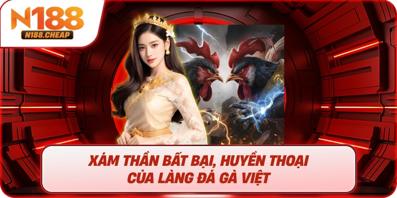 Xám thần bất bại, huyền thoại của làng đá gà việt